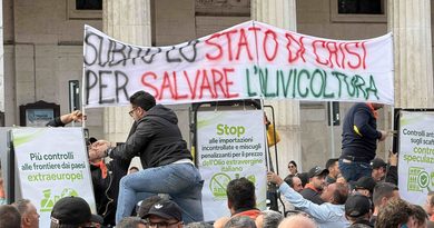 Manifestazione del movimento Orgoglio Olivicolo per la tutela del settore oleario